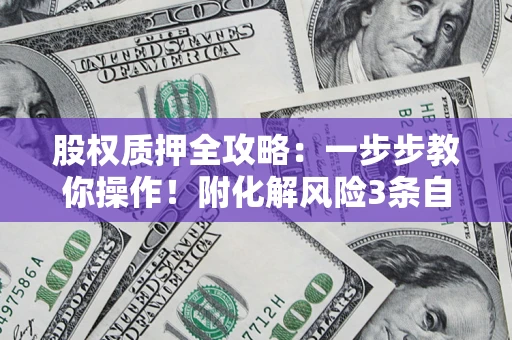 武汉股权质押全攻略：一步步教你操作！附化解风险3条自救法则
