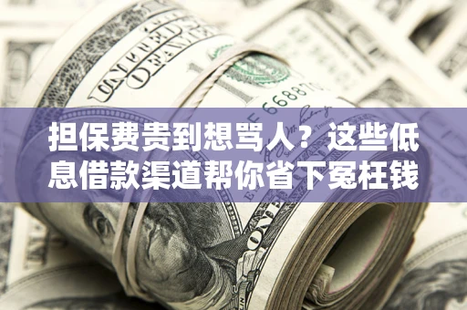 武汉担保费贵到想骂人？这些低息借款渠道帮你省下冤枉钱