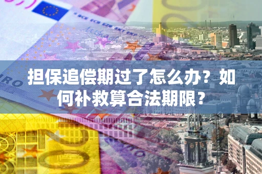 武汉担保追偿期过了怎么办？如何补救算合法期限？