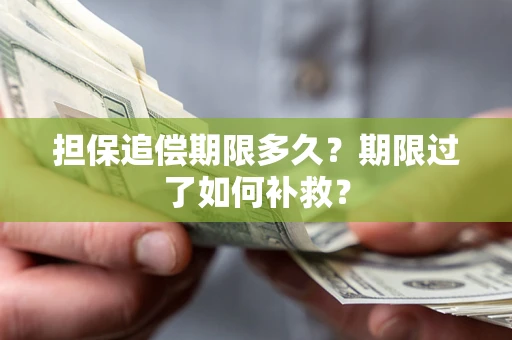 武汉担保追偿期限多久？期限过了如何补救？