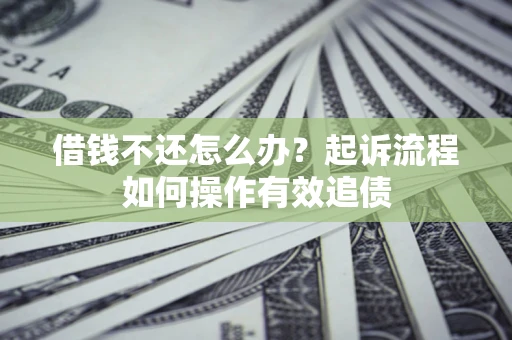 武汉借钱不还怎么办？起诉流程如何操作有效追债