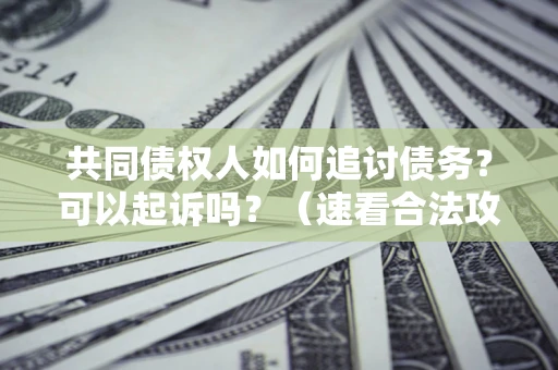 武汉共同债权人如何追讨债务？可以起诉吗？（速看合法攻略）