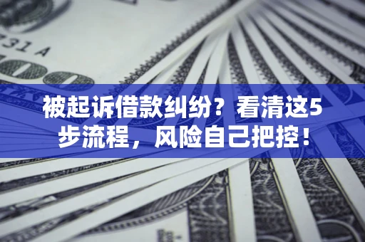 武汉被起诉借款纠纷？看清这5步流程，风险自己把控！